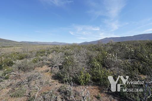 Ref.- 23023 Terreno rústico en venta, Campillo de Ranas