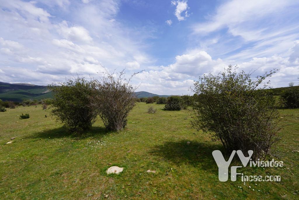 Ref.- 23028 Terreno rústico en venta, Campillo de Ranas