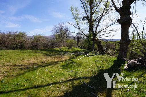 Ref.- 23024 Terreno rústico en venta, Campillo de Ranas