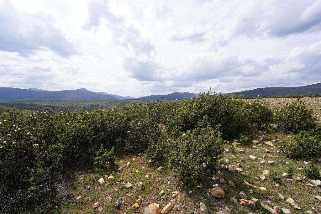 Ref.- 23027 Terreno rústico en venta, Campillo de Ranas