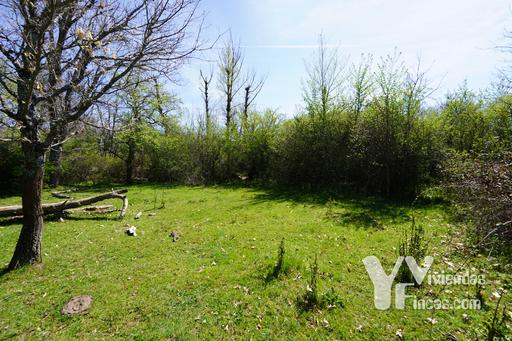 Ref.- 23025 Terreno rústico en venta, Campillo de Ranas