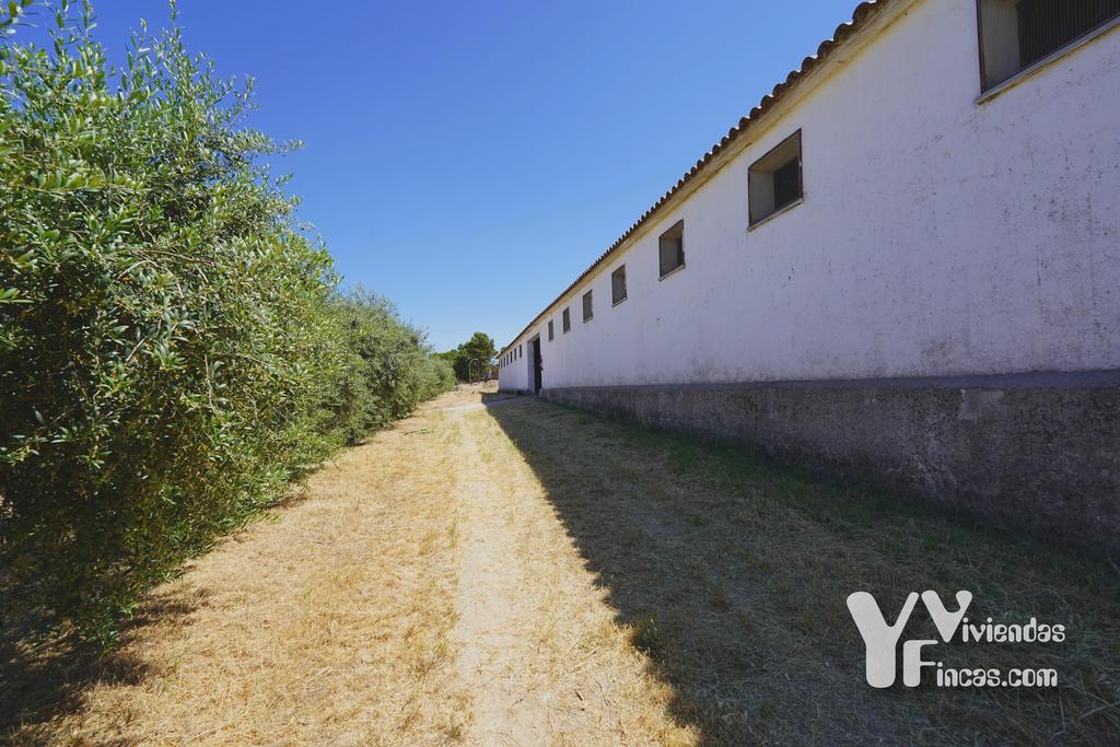 Ref.- 26018 Naves en venta, Otero