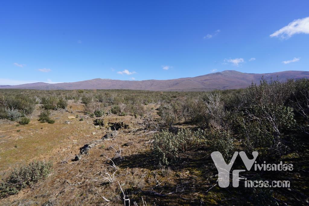 Ref.- 23001 Terreno rústico en venta, Campillo de Ranas