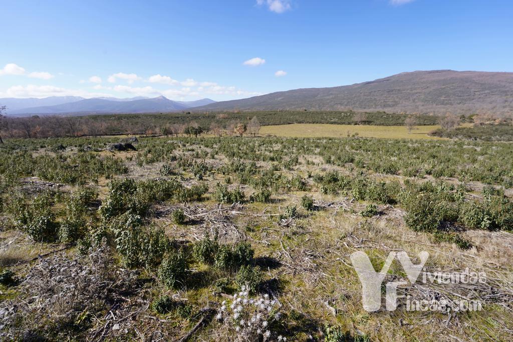Ref.- 23001 Terreno rústico en venta, Campillo de Ranas