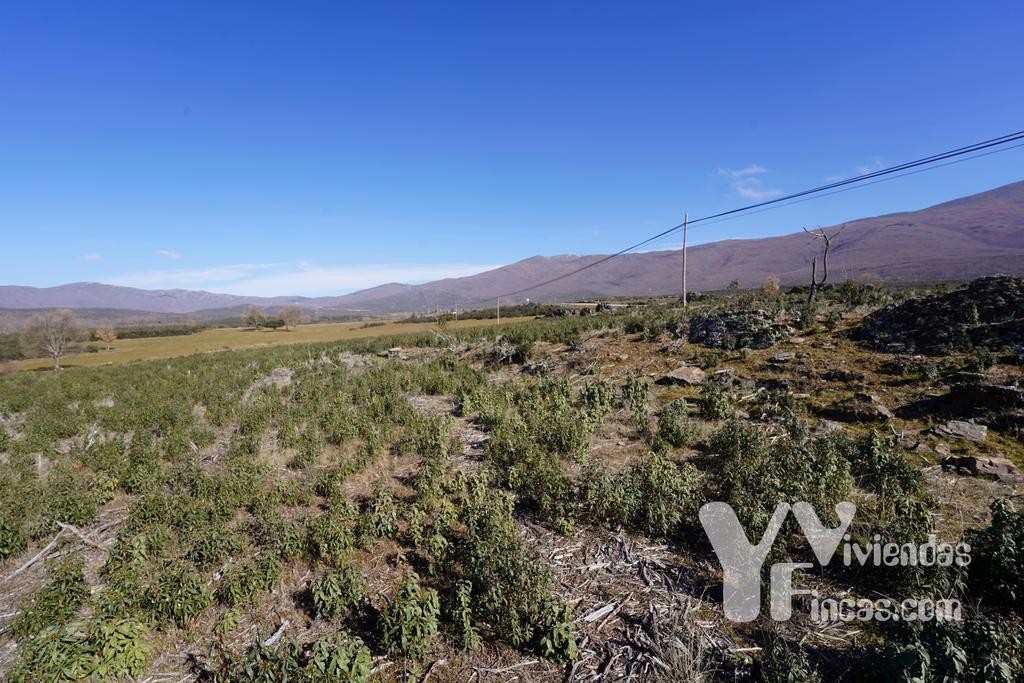 Ref.- 23001 Terreno rústico en venta, Campillo de Ranas