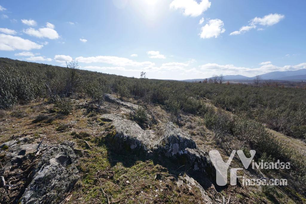 Ref.- 23001 Terreno rústico en venta, Campillo de Ranas