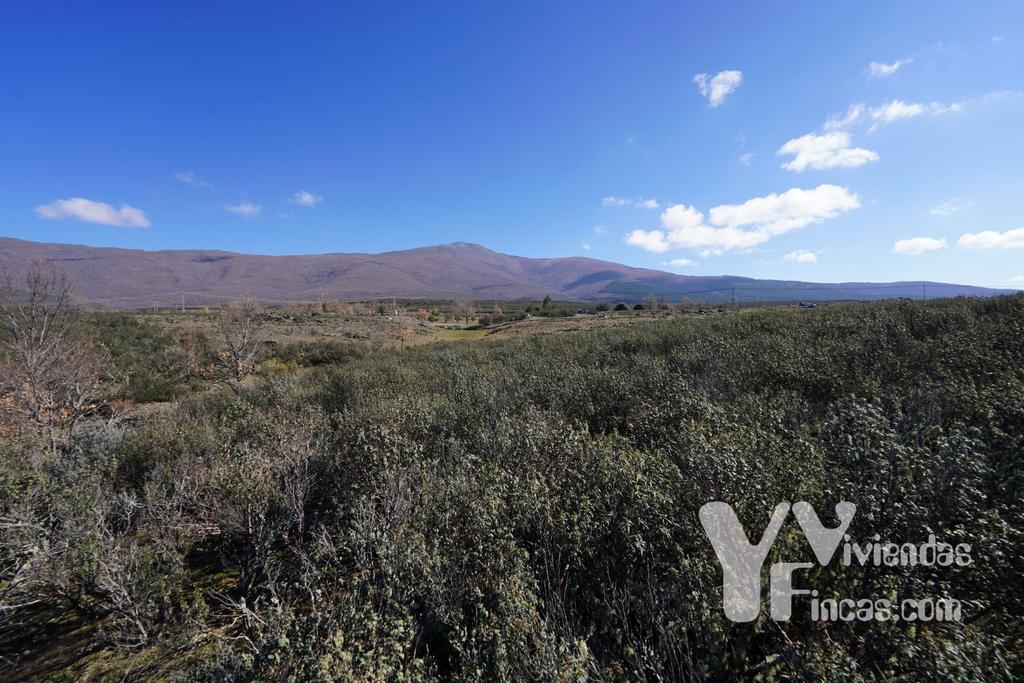 Ref.- 23001 Terreno rústico en venta, Campillo de Ranas
