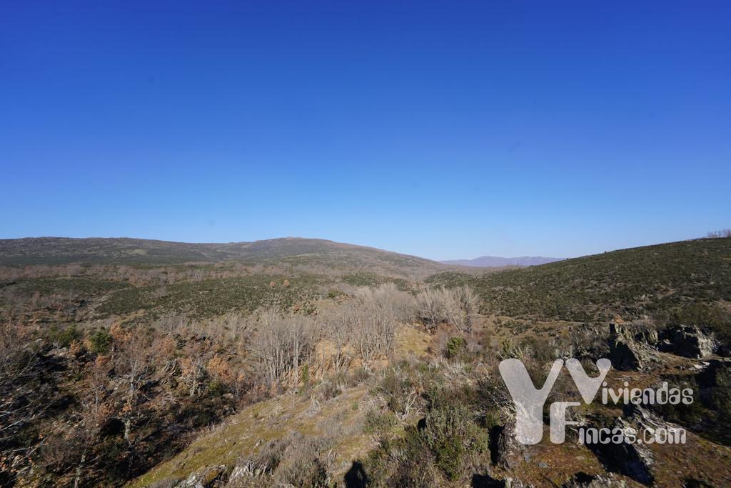 Ref.- 23002 Terreno rústico en venta, Campillo de Ranas