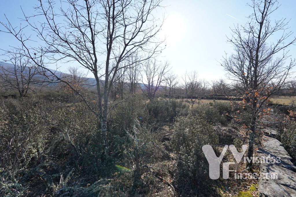 Ref.- 23002 Terreno rústico en venta, Campillo de Ranas