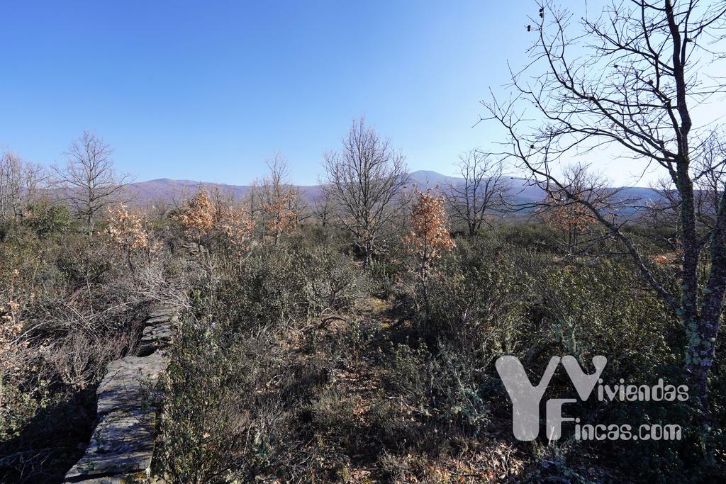 Ref.- 23002 Terreno rústico en venta, Campillo de Ranas