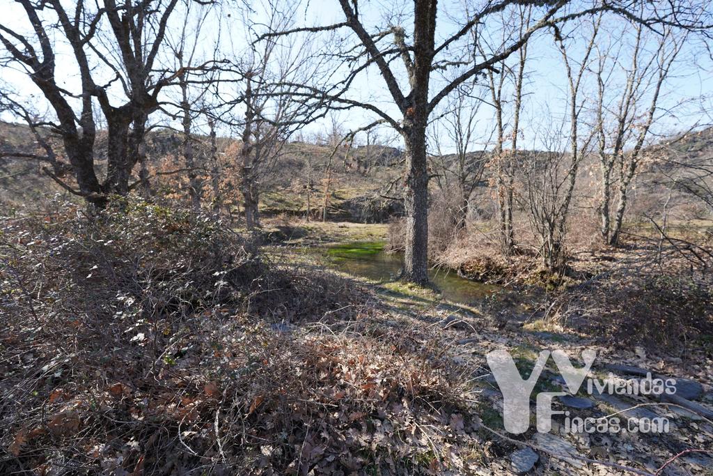 Ref.- 23003 Terreno rústico en venta, Campillo de Ranas