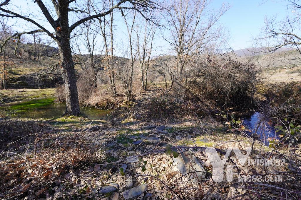 Ref.- 23003 Terreno rústico en venta, Campillo de Ranas