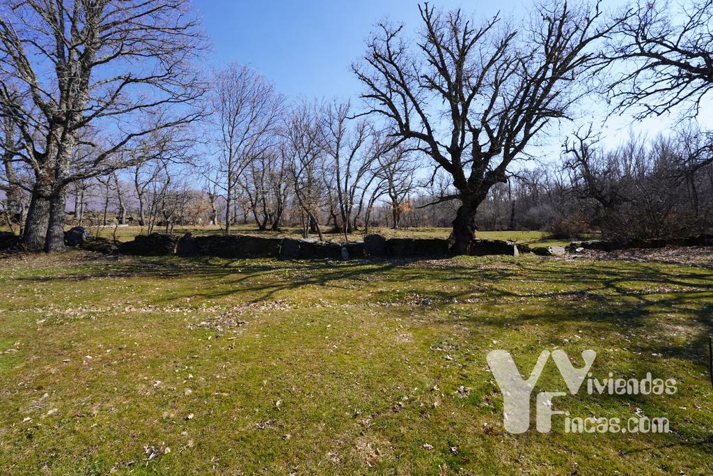 Ref.- 23003 Terreno rústico en venta, Campillo de Ranas