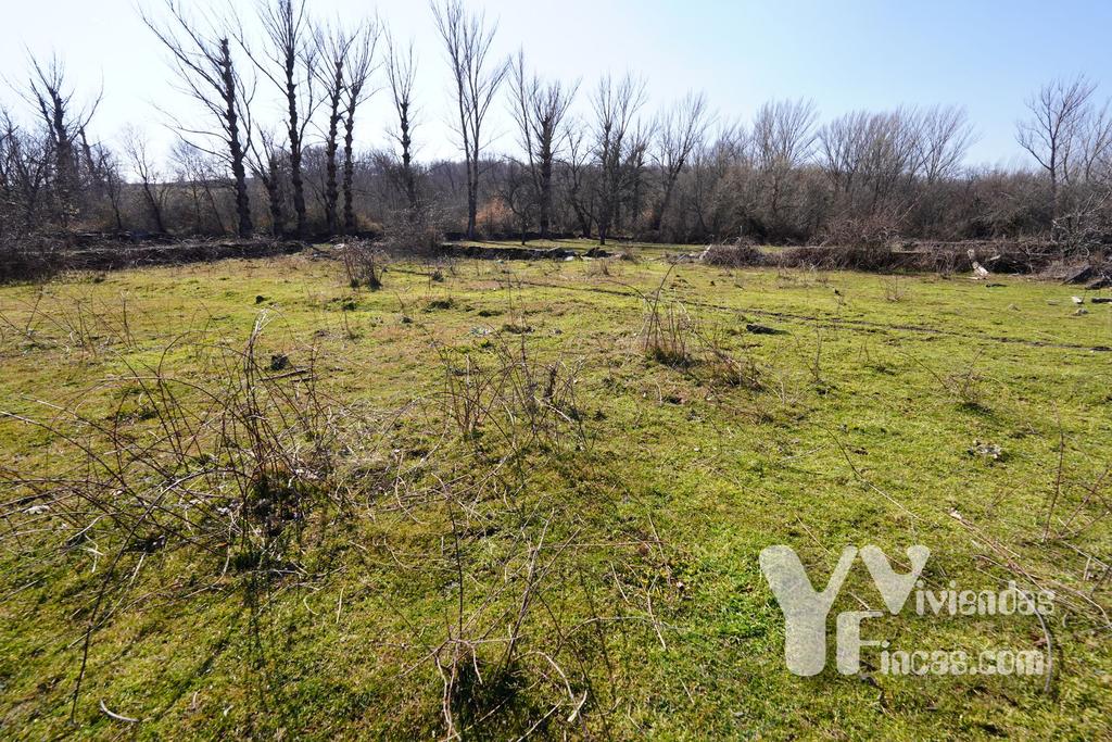 Ref.- 23005 Terreno rústico en venta, Campillo de Ranas