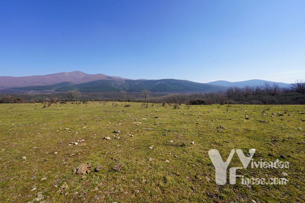Ref.- 23005 Terreno rústico en venta, Campillo de Ranas