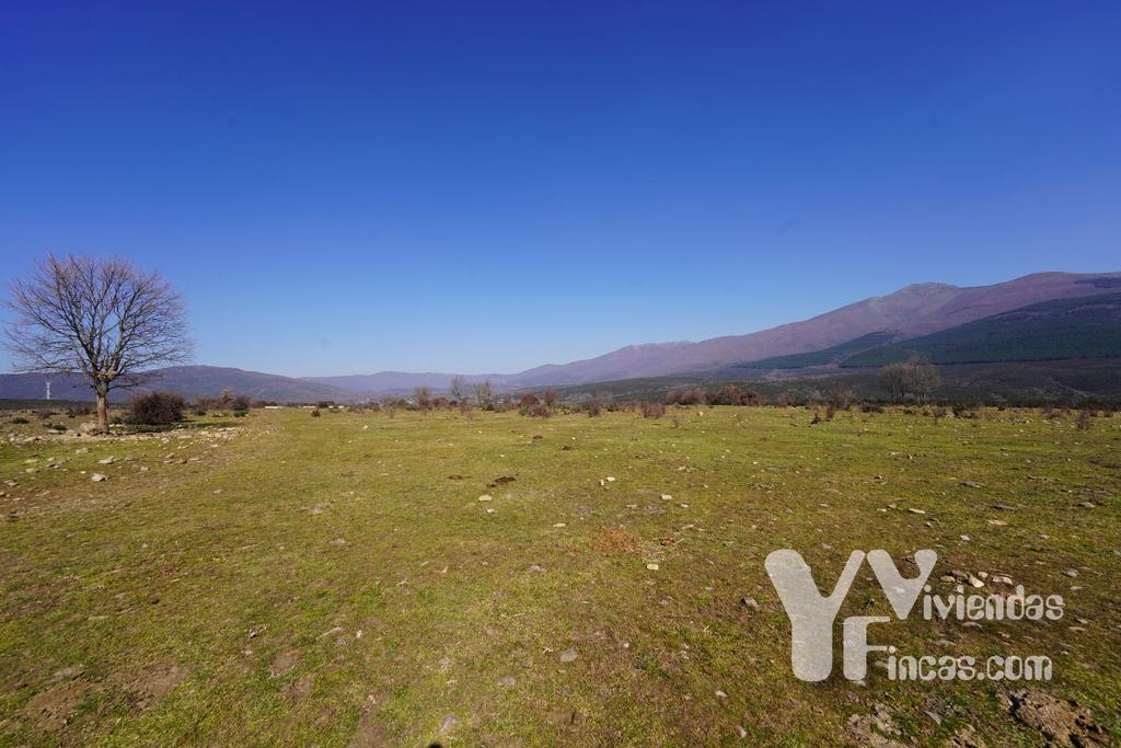 Ref.- 23005 Terreno rústico en venta, Campillo de Ranas