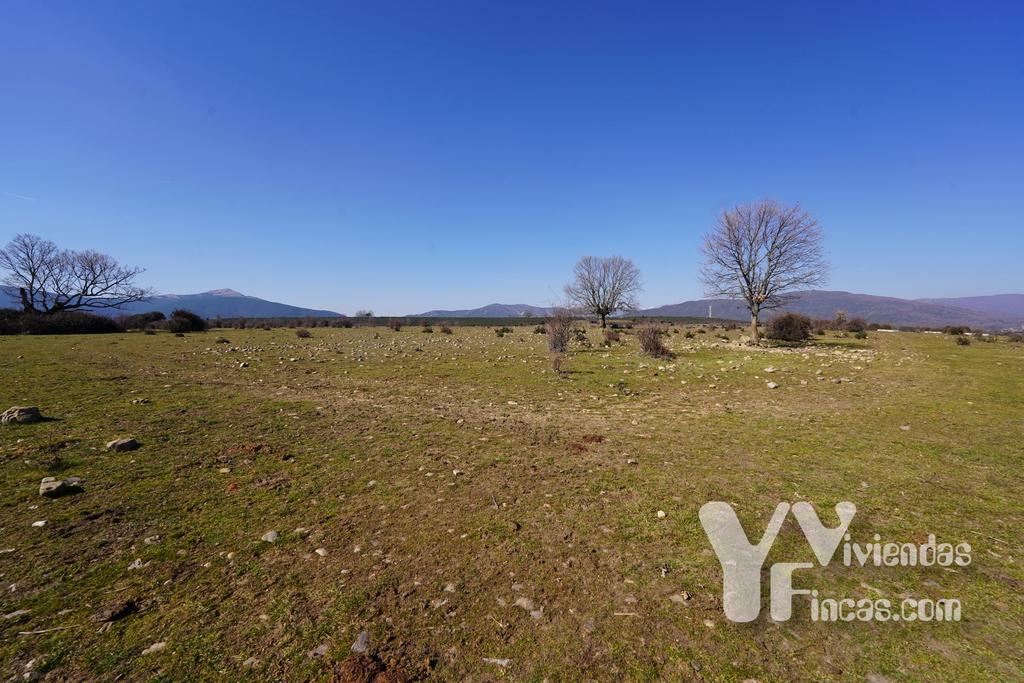 Ref.- 23005 Terreno rústico en venta, Campillo de Ranas