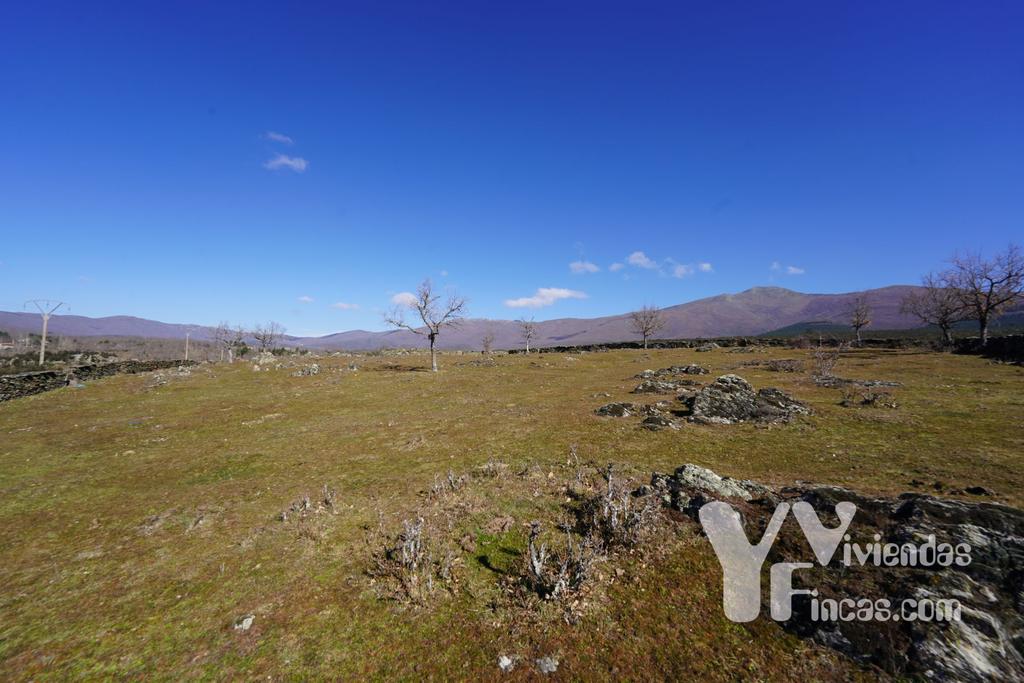 Ref.- 23006 Terreno rústico en venta, Campillo de Ranas