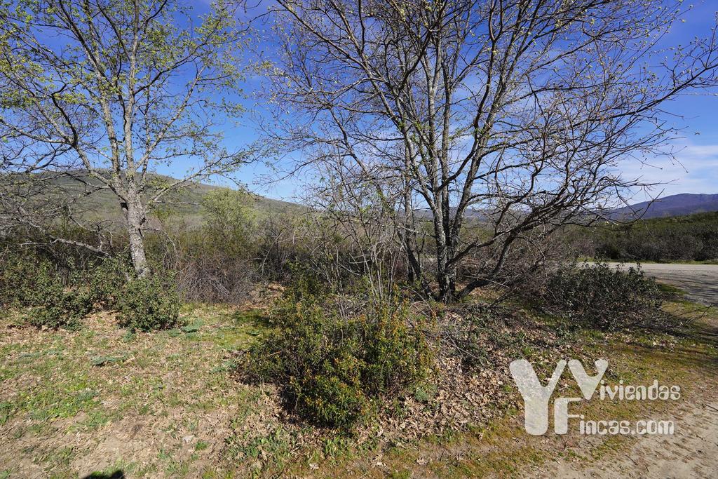 Ref.- 23023 Terreno rústico en venta, Campillo de Ranas