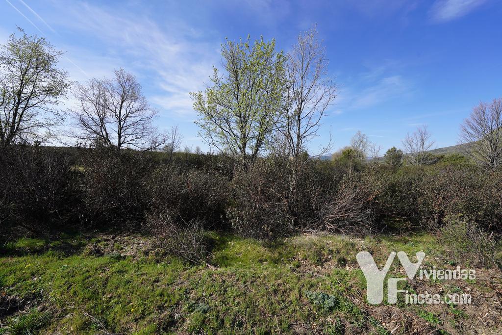 Ref.- 23023 Terreno rústico en venta, Campillo de Ranas