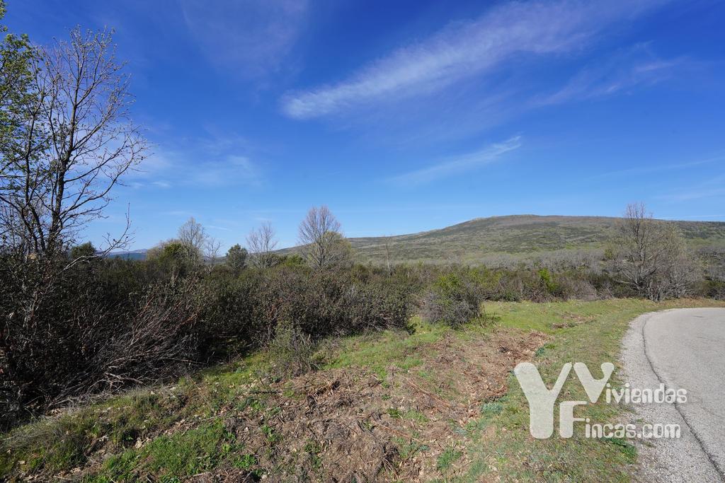 Ref.- 23023 Terreno rústico en venta, Campillo de Ranas