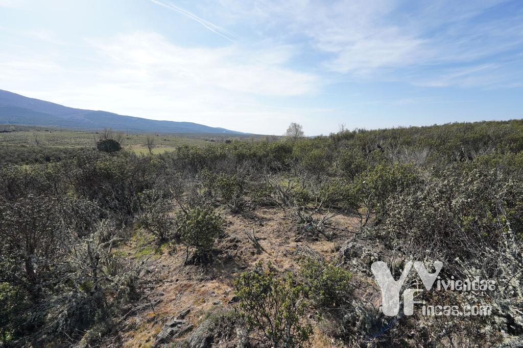 Ref.- 23023 Terreno rústico en venta, Campillo de Ranas