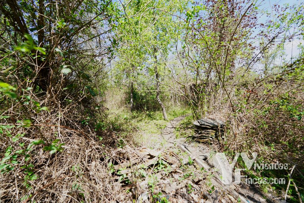Ref.- 23024 Terreno rústico en venta, Campillo de Ranas