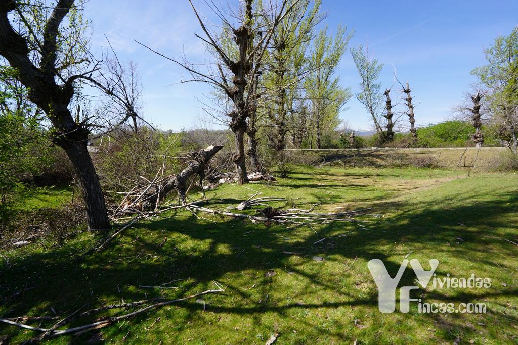 Ref.- 23024 Terreno rústico en venta, Campillo de Ranas