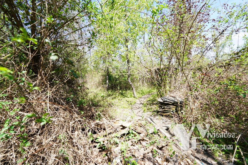Ref.- 23025 Terreno rústico en venta, Campillo de Ranas