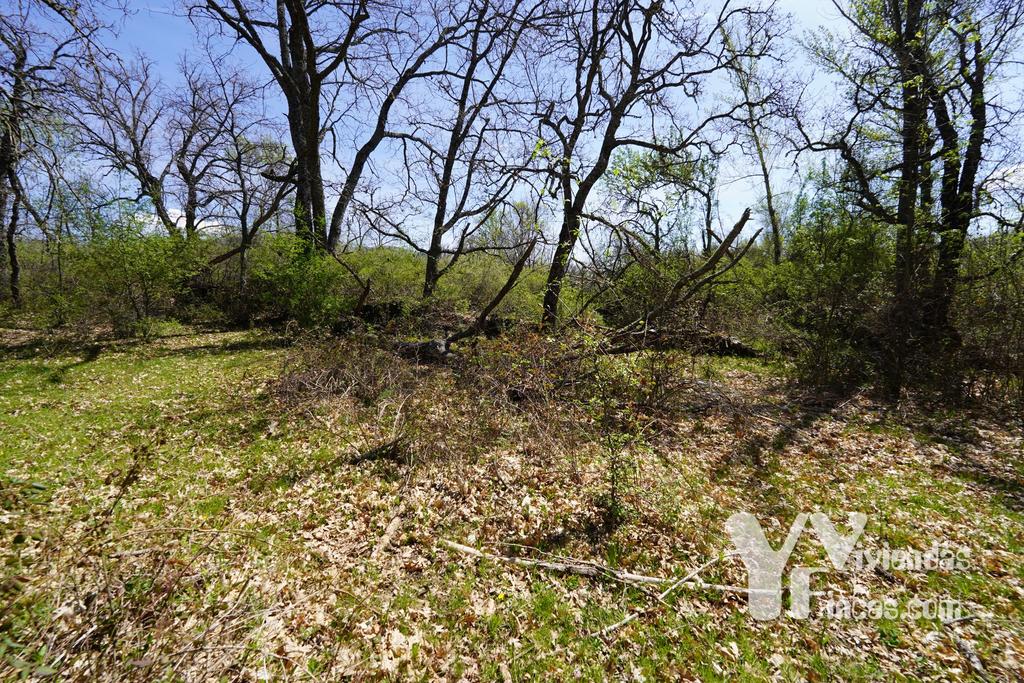 Ref.- 23026 Terreno rústico en venta, Campillo de Ranas