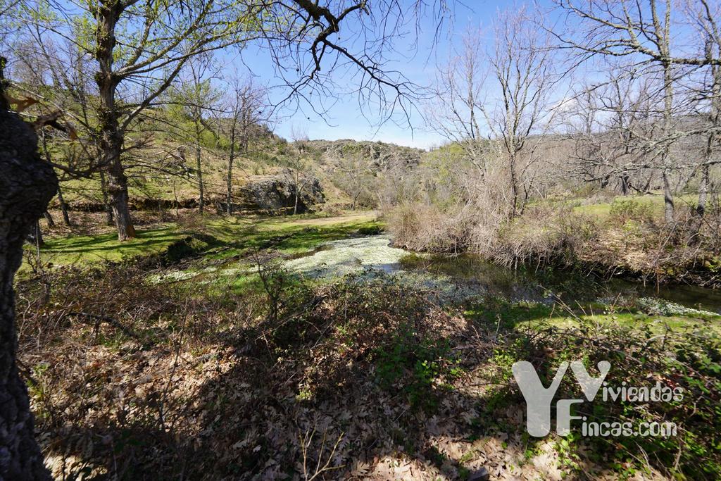 Ref.- 23026 Terreno rústico en venta, Campillo de Ranas