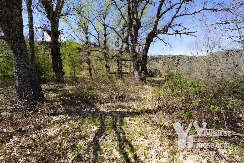 Ref.- 23026 Terreno rústico en venta, Campillo de Ranas