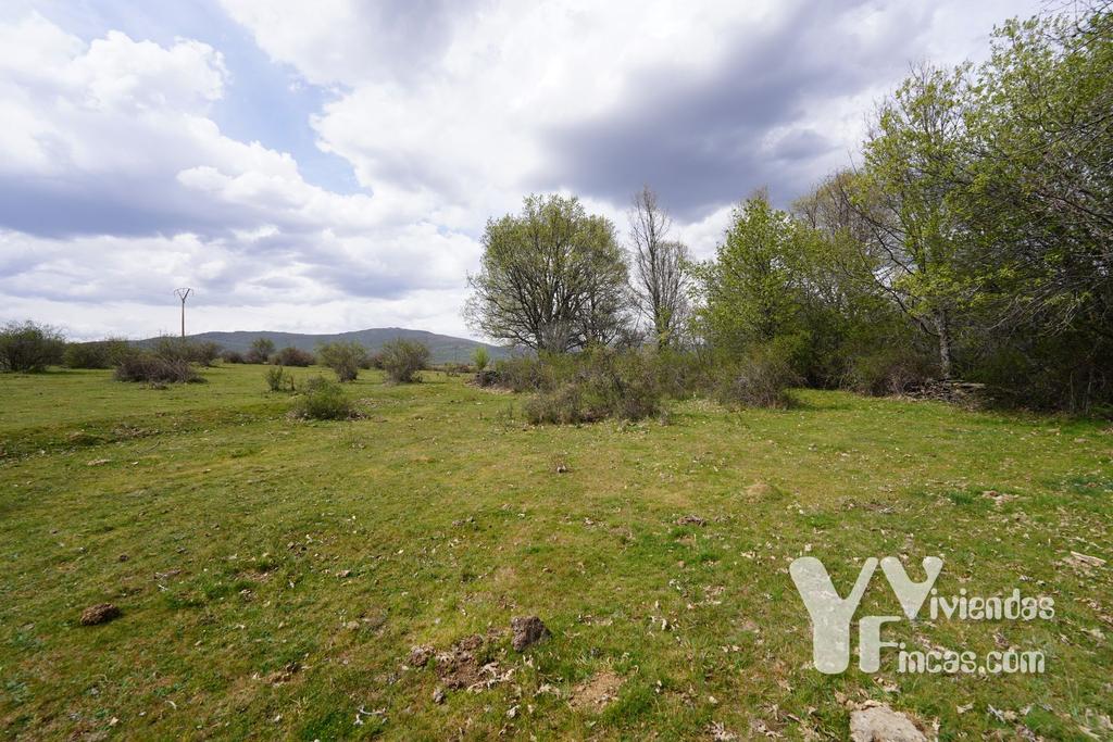 Ref.- 23027 Terreno rústico en venta, Campillo de Ranas