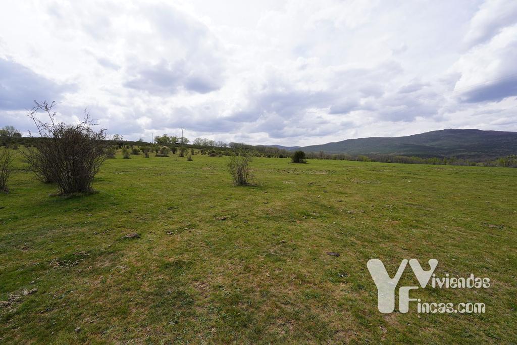 Ref.- 23027 Terreno rústico en venta, Campillo de Ranas