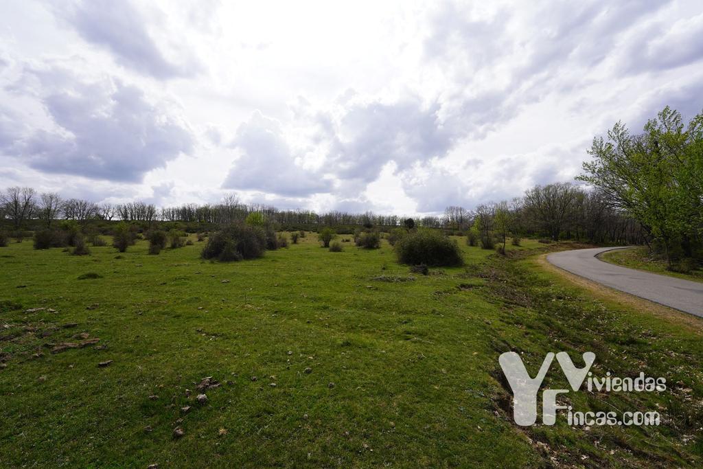Ref.- 23027 Terreno rústico en venta, Campillo de Ranas