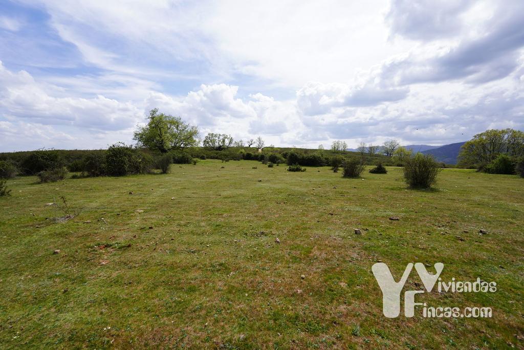 Ref.- 23028 Terreno rústico en venta, Campillo de Ranas