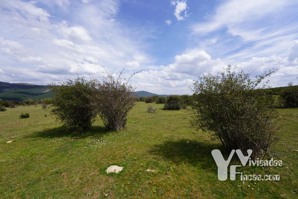 Ref.- 23028 Terreno rústico en venta, Campillo de Ranas