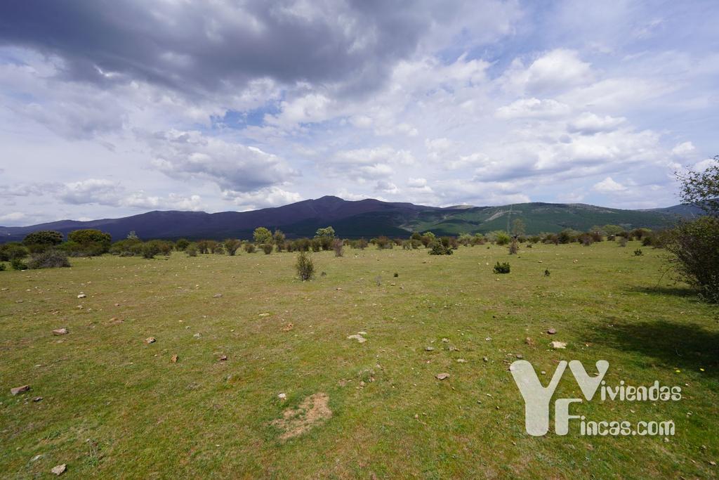 Ref.- 23028 Terreno rústico en venta, Campillo de Ranas