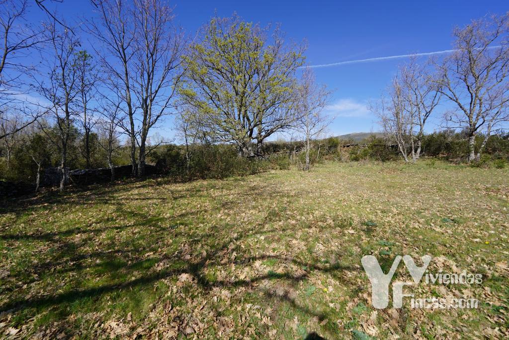 Ref.- 23029 Terreno rústico en venta, Campillo de Ranas