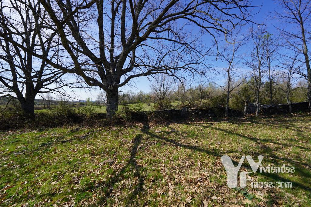 Ref.- 23029 Terreno rústico en venta, Campillo de Ranas