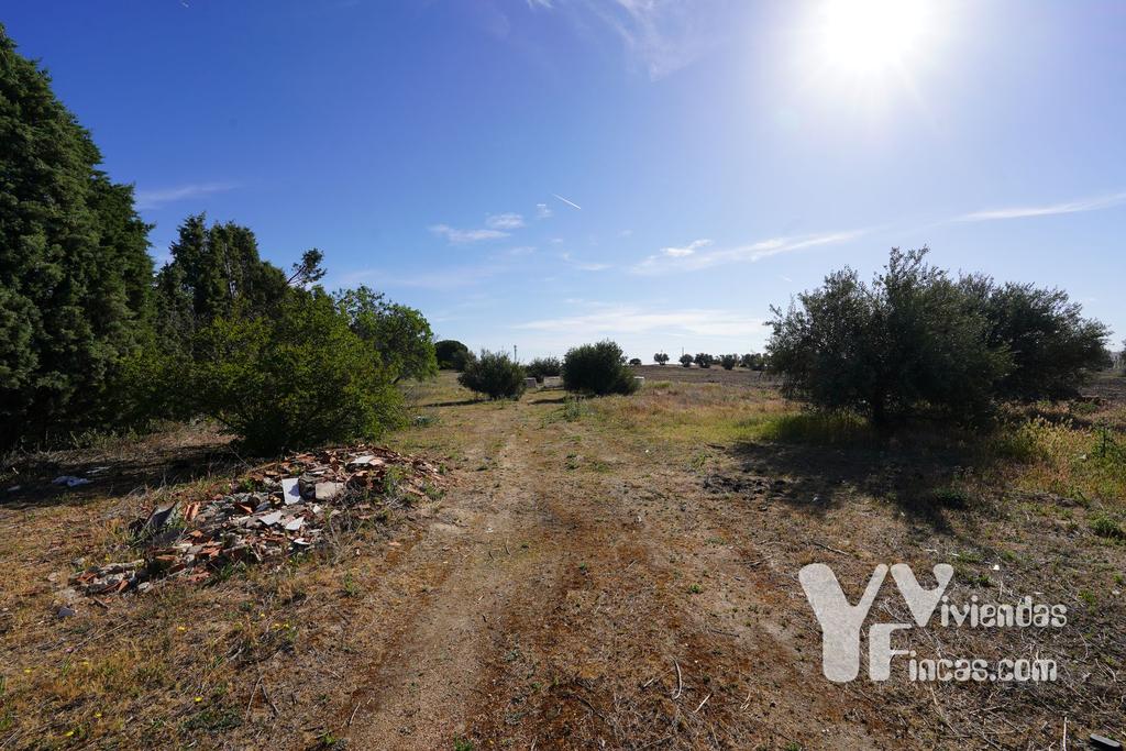Ref.- 23032 Terreno en venta, Illescas
