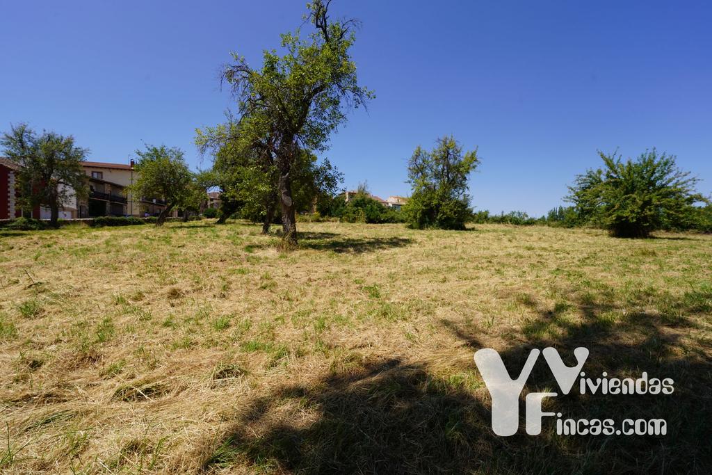 Ref.- 24004 Terreno en venta, Riaza