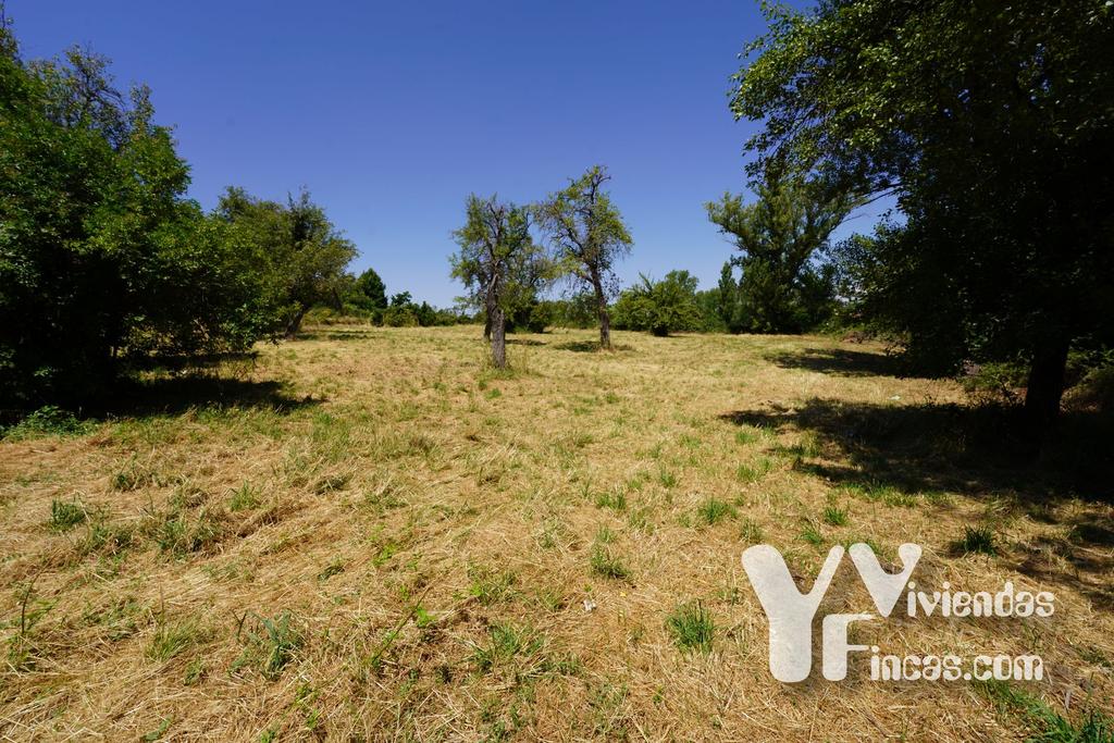 Ref.- 24004 Terreno en venta, Riaza