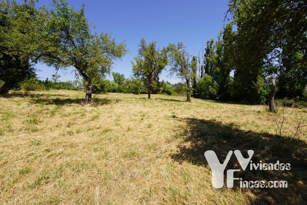 Ref.- 24004 Terreno en venta, Riaza