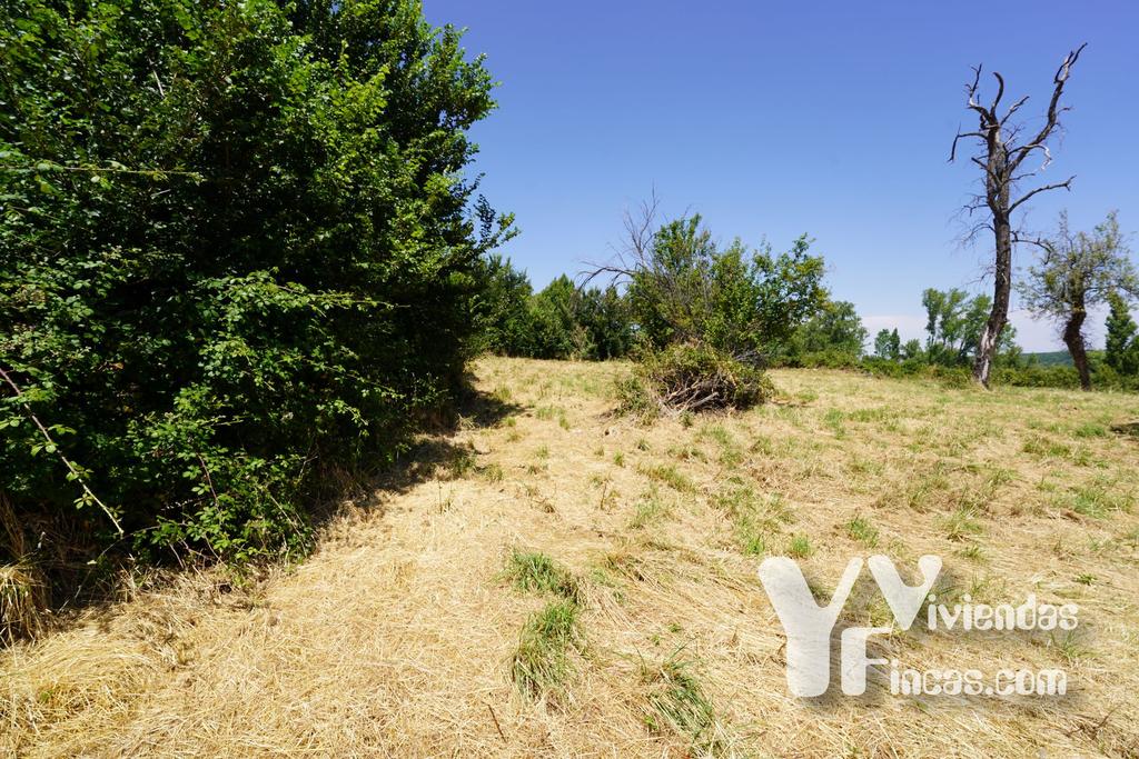 Ref.- 24004 Terreno en venta, Riaza